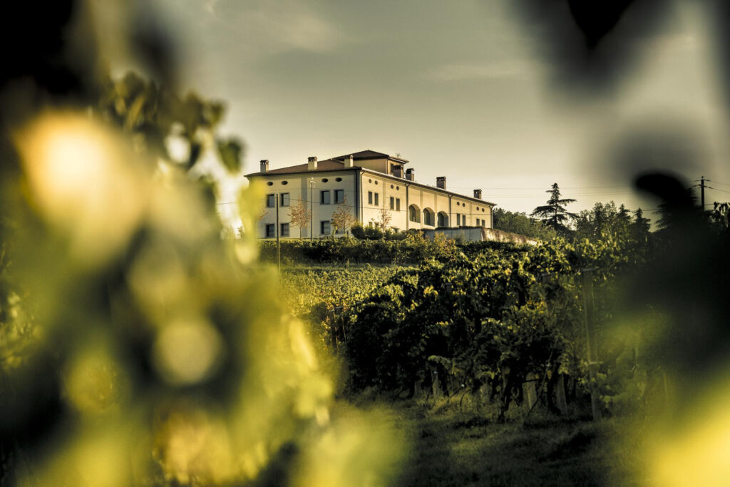 Wine Experience su percorsi topici della Romagna