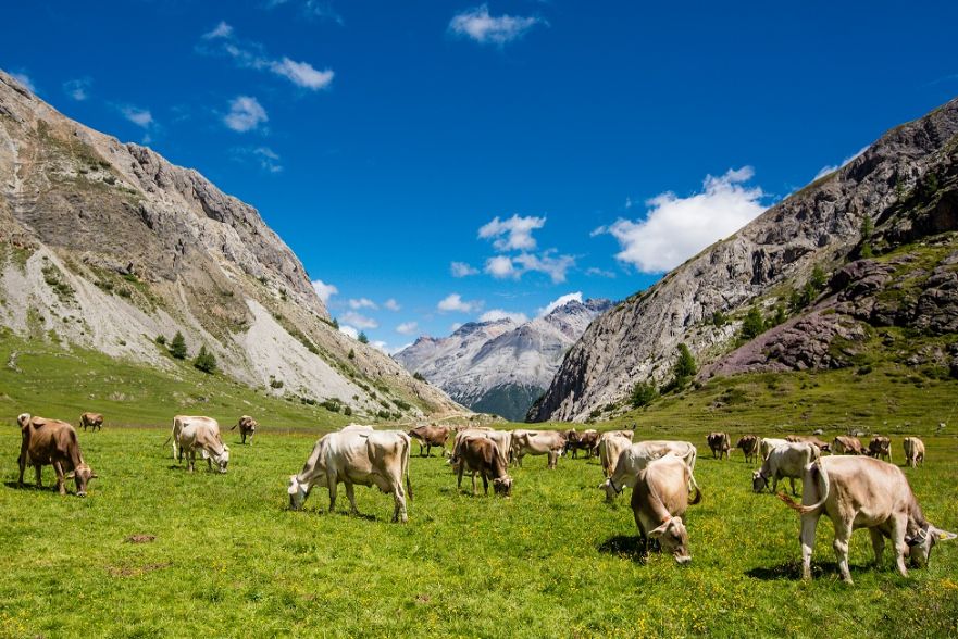 Sentieri di Gusto in Valtellina