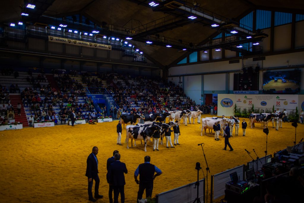 Cremona capitale Europea del settore zootecnico