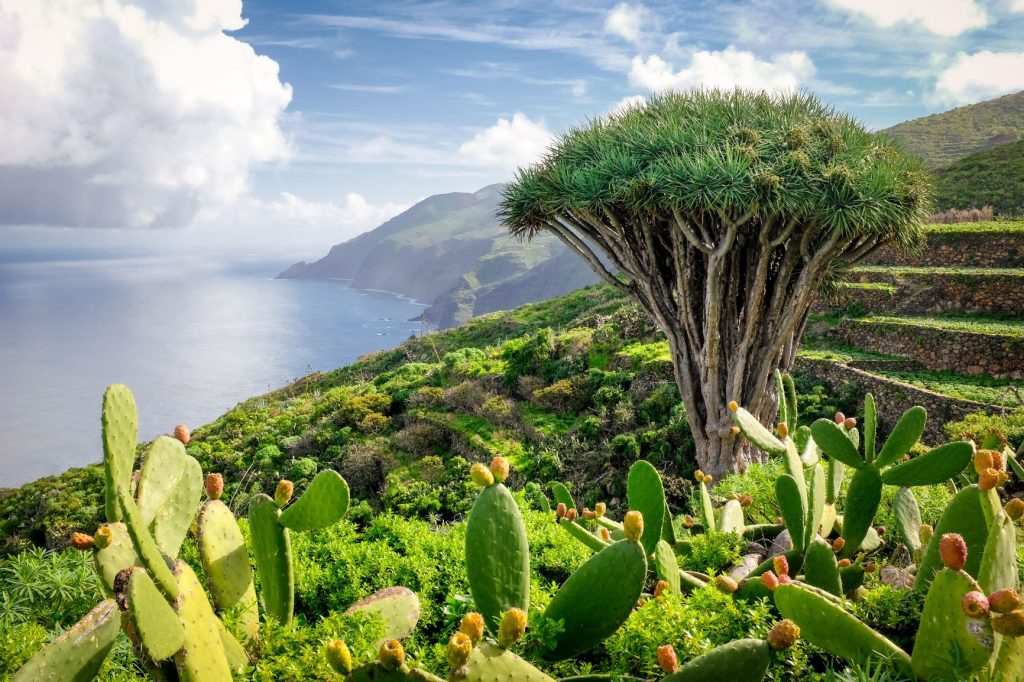 Riparte il Turismo all’Isla Bonita nelle Canarie