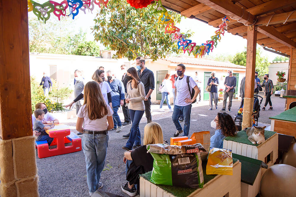 A Roma la Festa di Primavera è all’Oasi Felina di Porta Portese