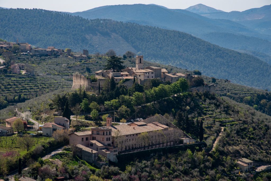 In viaggio dove sboccia la magia della lavanda