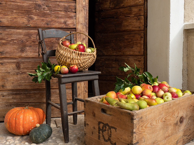 Musica, arte, cultura tradizioni e gastronomia per la festa del’autunno in Val di Non con POMARIA