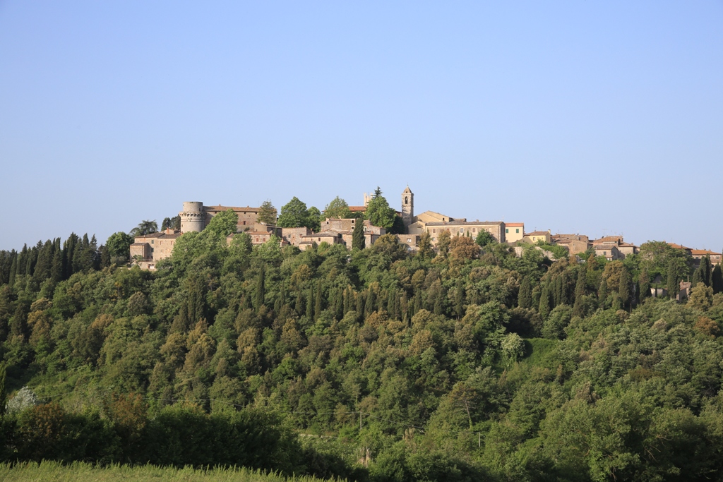 Alla TRACOIL Conference i risultati sulla tracciabilità dell’olio extravergine d’oliva della Valdichiana Senese