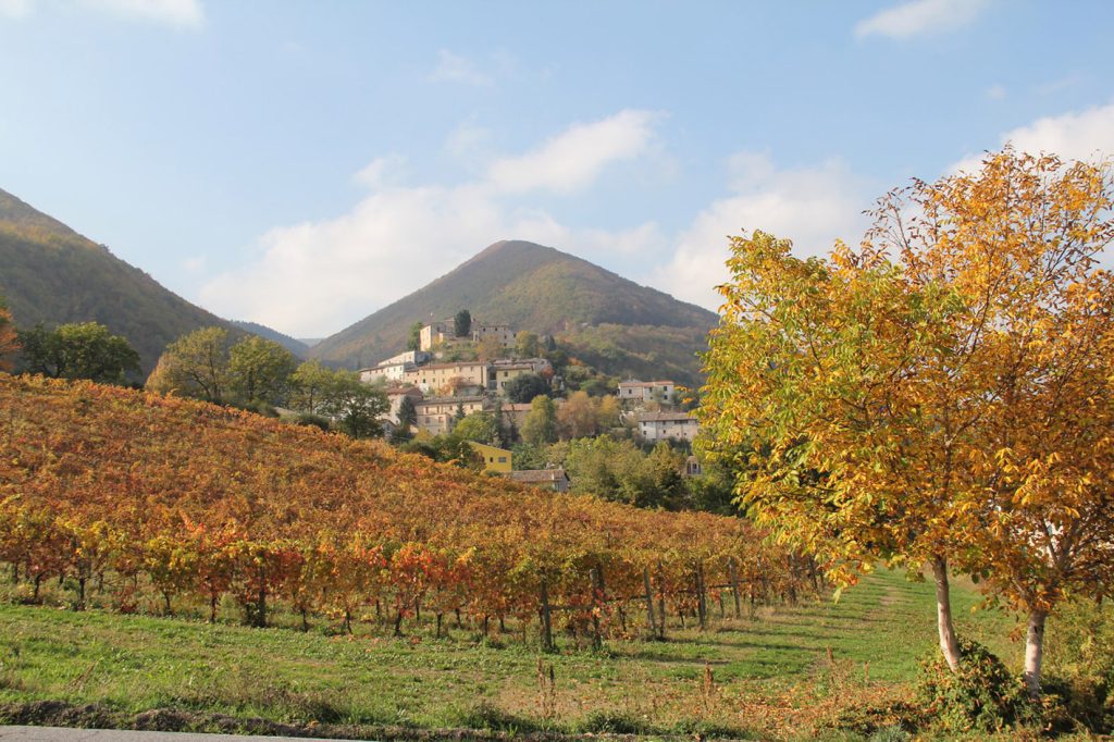 “Appassimenti Aperti” il benvenuto autunnale di Serrapetrona tra le vie del borgo, i vigneti eroici e la Vernaccia nera