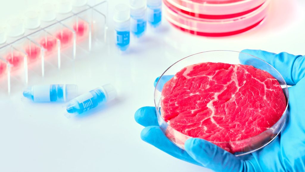 La carne sintetica più che il cibo del futuro forse è l’affare del futuro