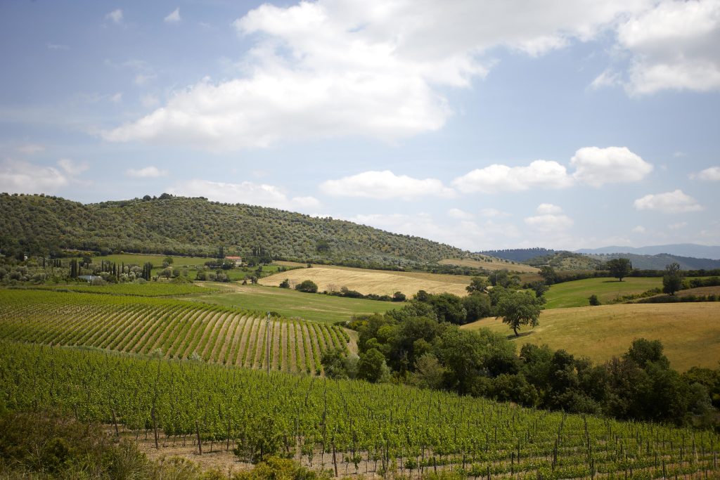 Futuri esperti di Marketing impegnati in un progetto per il Consorzio del Montecucco in Maremma