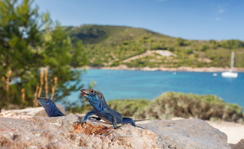 I nuovi progetti green delle Isole Baleari