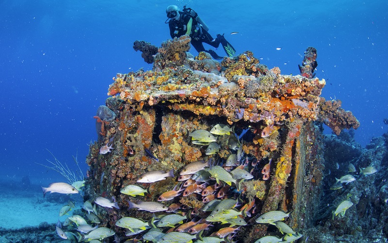 La British Virgin Islands Wreck Week 2023 occasione per scoprire il meraviglioso mondo sommerso