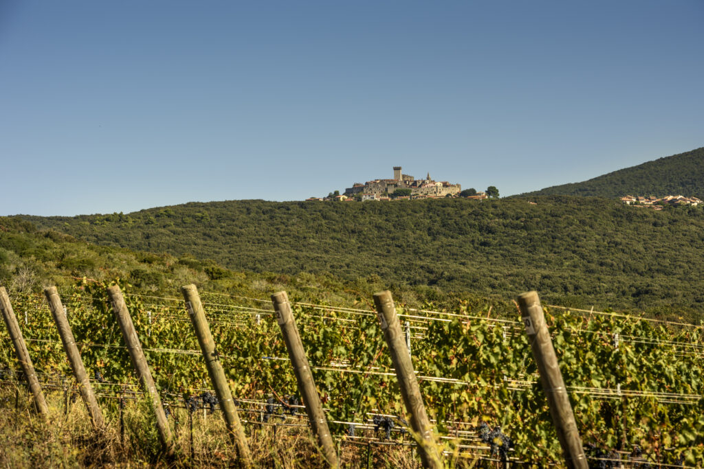 La cantina gioiello Monteverro accompagna Orbetello Piano Festival e Capalbio Libri