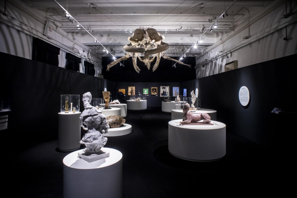 “Oltre lo spazio, oltre il tempo”, la mostra di Ulisse Aldrovandi a Roma fra arte e scienza, tra passato e futuro