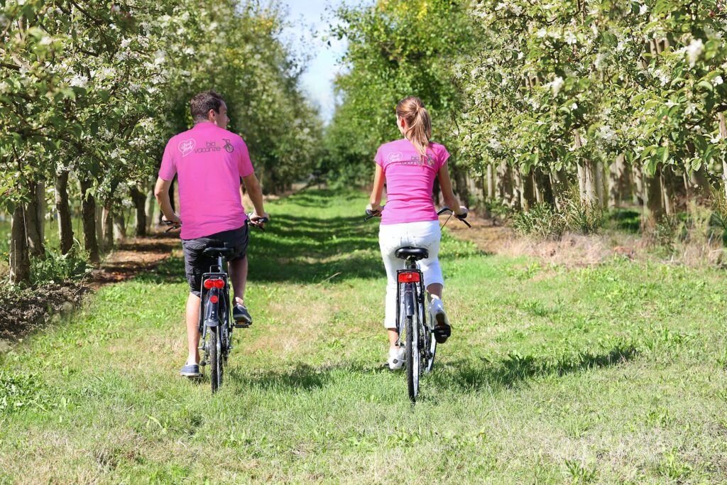 Pink Lady® in Romagna organizza il “Bee-bike Tour” con l’apicoltore per la fioritura dei meleti