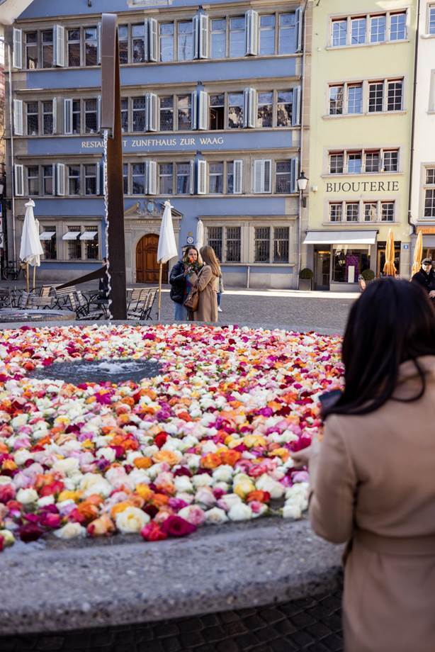 Zurigo, la primavera trasforma la città in un palcoscenico vivace di cultura, bellezza e divertimento 