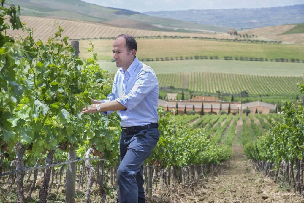 Consorzio di Tutela Vini Doc Sicilia aggiorna il progetto di valorizzazione della biodiversità viticola