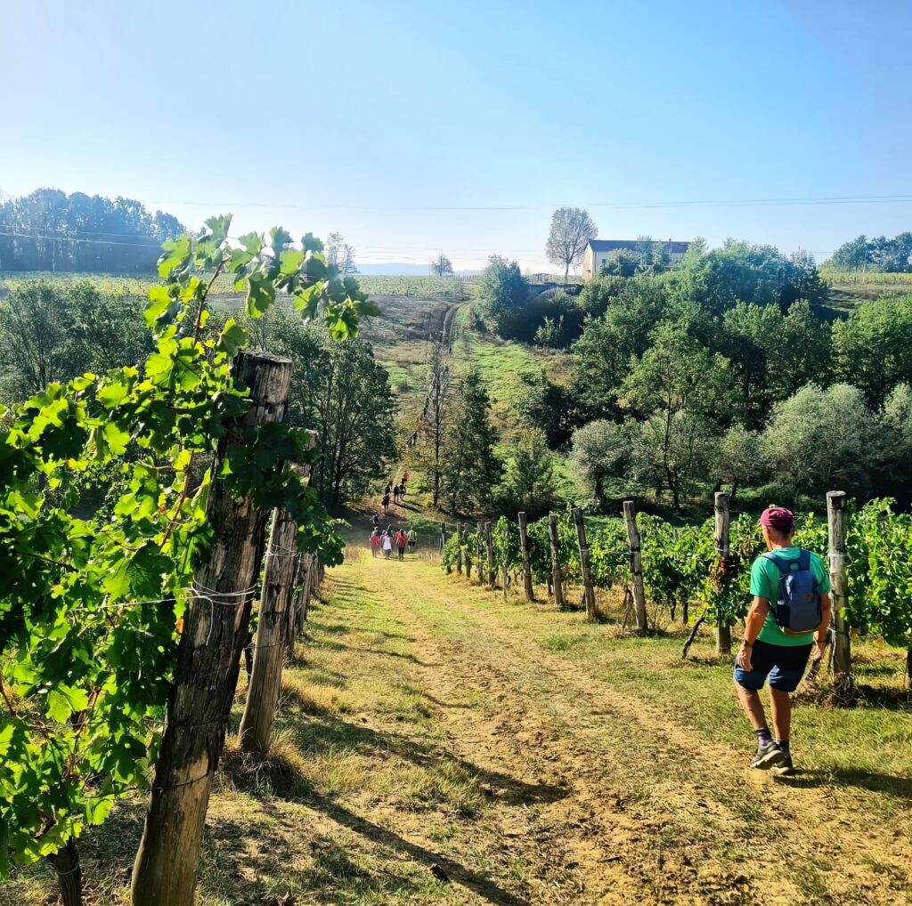 Bergamasco (AL), porta dell’Alto Monferrato apre al turismo lento tra memorie cinematografiche e ricchezze enogastronomiche