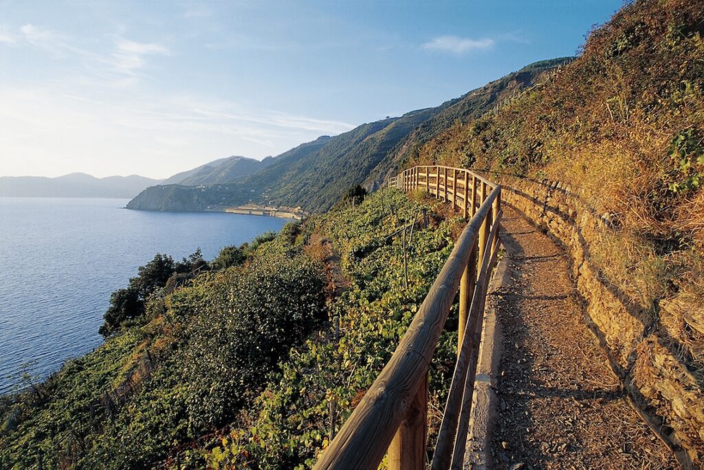 Parco Nazionale delle Cinque Terre: confermato il senso unico sul sentiero Monterosso-Vernazza