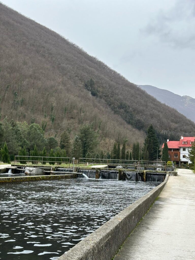 Presente e futuro dell’acquacoltura, ad Ancona nell’ambito di Tipicità in Blu