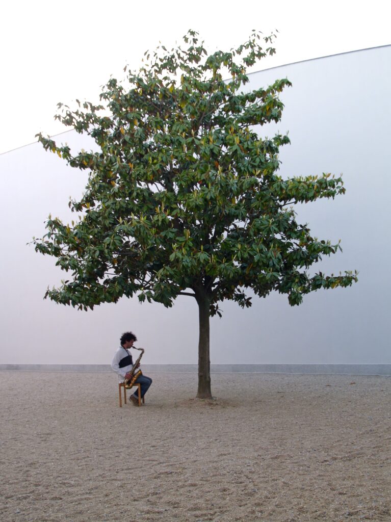 Padiglione Italia alla Biennale Arte 2024: Ballad for a Tree