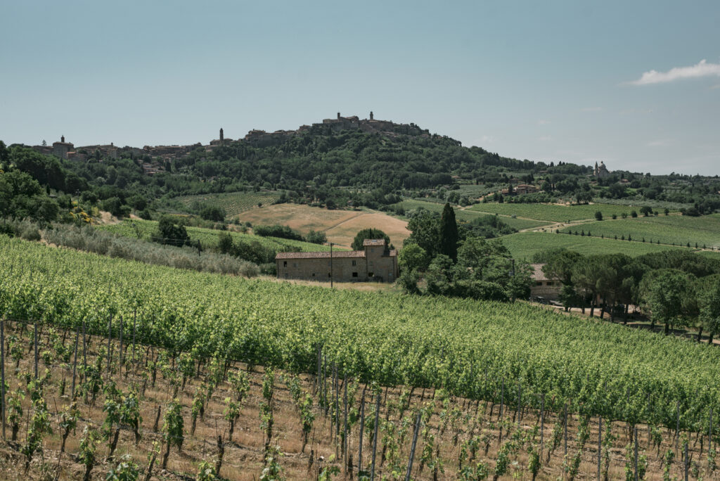 Da Talosa, gli sviluppi del progetto “Pieve del Nobile” Montepulciano e anticipazione sulla  vendemmia 2024