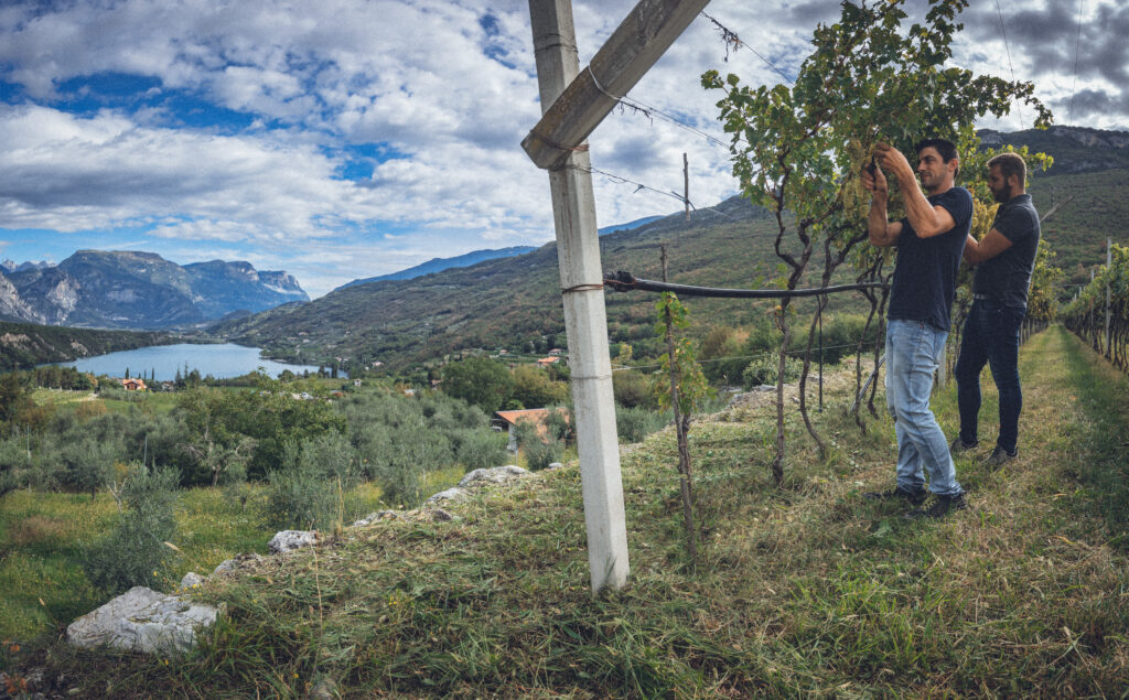 Nel Garda Trentino con l’autunno arriva il “Mese del Gusto”