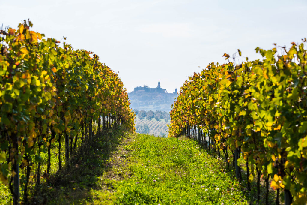 Nizza Monferrato si prepara ad ospitare la quinta edizione de “Il Nizza È”