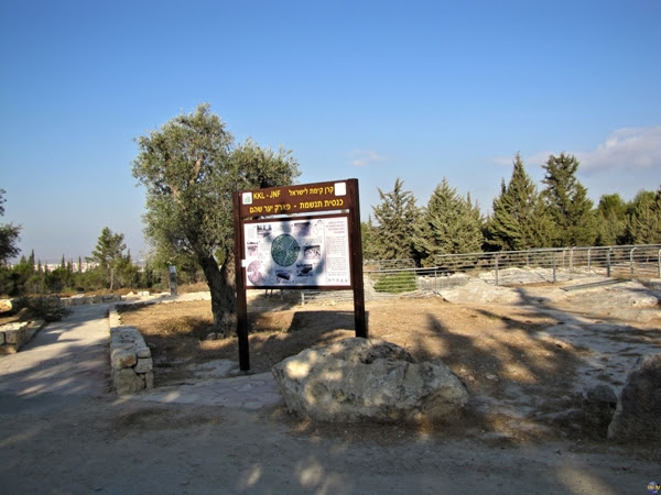 Scoperta Chiesa Bizantina nel sito di Khirbet Tinshemet nel centro di Israele