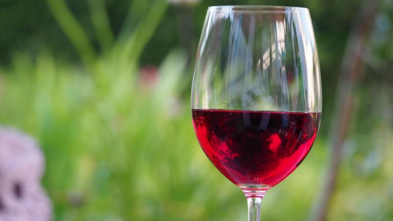 IRVAS celebra le conclusioni del “processo al vino”: una vittoria per il consumo consapevole e la dieta mediterranea