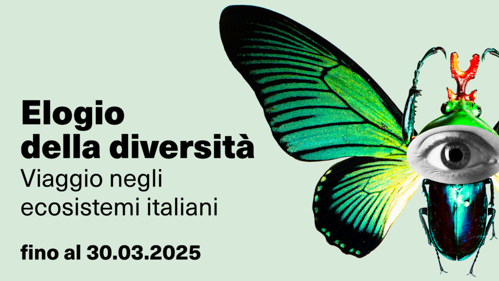 Apre domani la mostra “Elogio della diversità. Viaggio negli ecosistemi italiani” a Palazzo Esposizioni di Roma